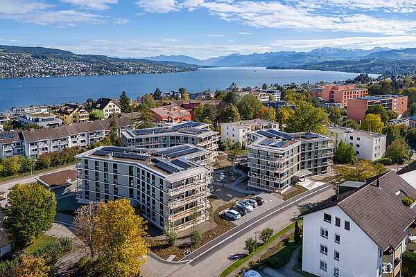 Luftbild Wohnsiedlung Thalwil